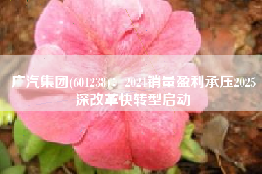 广汽集团(601238)：2024销量盈利承压2025深改革快转型启动