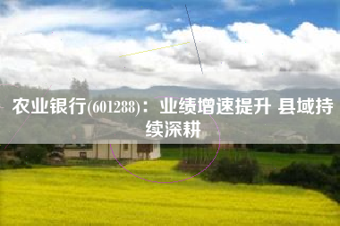 农业银行(601288)：业绩增速提升 县域持续深耕