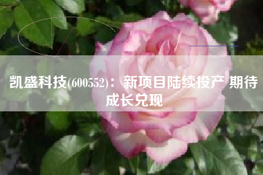 凯盛科技(600552)：新项目陆续投产 期待成长兑现
