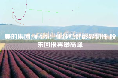 美的集团(000333)：业绩稳健彰显韧性 股东回报再攀高峰