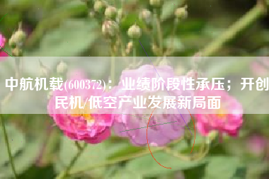 中航机载(600372)：业绩阶段性承压；开创民机/低空产业发展新局面