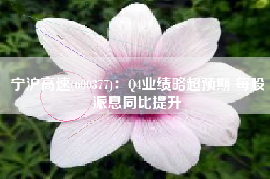 宁沪高速(600377)：Q4业绩略超预期 每股派息同比提升