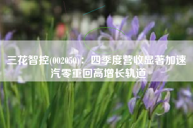 三花智控(002050)：四季度营收显著加速 汽零重回高增长轨道