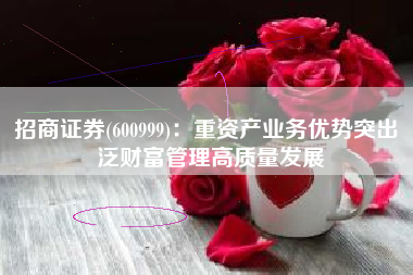 招商证券(600999)：重资产业务优势突出 泛财富管理高质量发展
