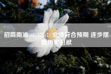 招商南油(601975)：业绩符合预期 逐步摆脱历史包袱