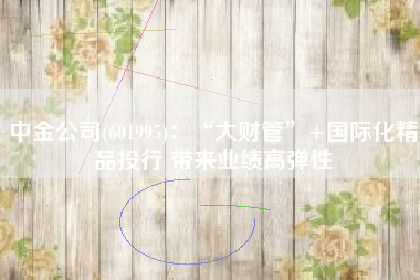 中金公司(601995)：“大财管”+国际化精品投行 带来业绩高弹性