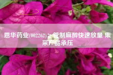 恩华药业(002262)：管制麻醉快速放量 集采产品承压