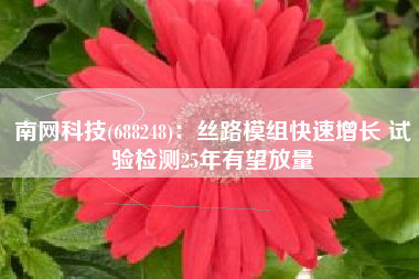 南网科技(688248)：丝路模组快速增长 试验检测25年有望放量