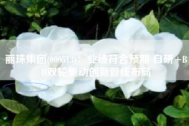 丽珠集团(000513)：业绩符合预期 自研+BD双轮驱动创新管线布局