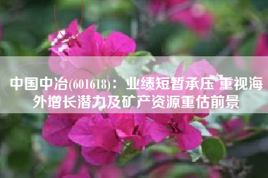 中国中冶(601618)：业绩短暂承压 重视海外增长潜力及矿产资源重估前景