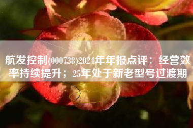 航发控制(000738)2024年年报点评：经营效率持续提升；25年处于新老型号过渡期