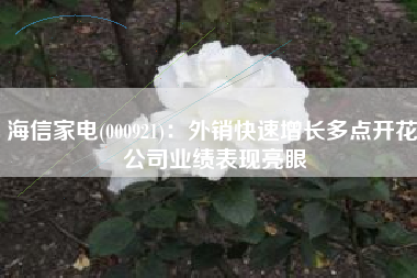 海信家电(000921)：外销快速增长多点开花 公司业绩表现亮眼