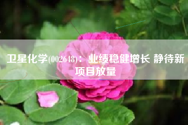 卫星化学(002648)：业绩稳健增长 静待新项目放量
