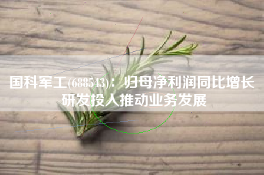 国科军工(688543)：归母净利润同比增长 研发投入推动业务发展
