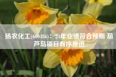 扬农化工(600486)：24年业绩符合预期 葫芦岛项目有序推进