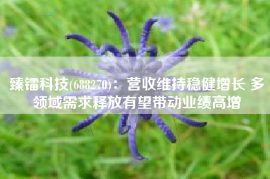 臻镭科技(688270)：营收维持稳健增长 多领域需求释放有望带动业绩高增
