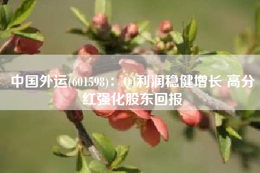 中国外运(601598)：Q4利润稳健增长 高分红强化股东回报