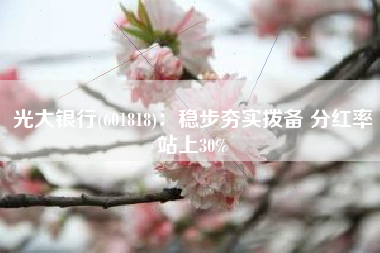 光大银行(601818)：稳步夯实拨备 分红率站上30%