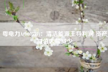 粤电力A(000539)：清洁能源主导利润 资产减值大幅减少