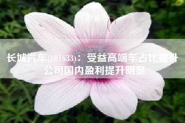 长城汽车(601633)：受益高端车占比提升 公司国内盈利提升明显