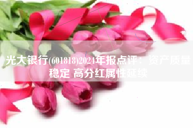 光大银行(601818)2024年报点评：资产质量稳定 高分红属性延续