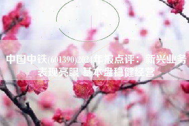 中国中铁(601390)2024年报点评：新兴业务表现亮眼 基本盘稳健经营