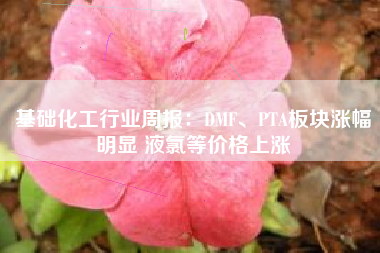 基础化工行业周报：DMF、PTA板块涨幅明显 液氯等价格上涨