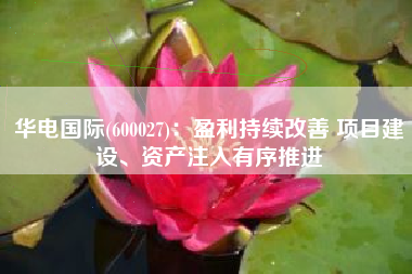 华电国际(600027)：盈利持续改善 项目建设、资产注入有序推进