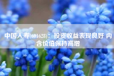 中国人寿(601628)：投资收益表现良好 内含价值保持高增