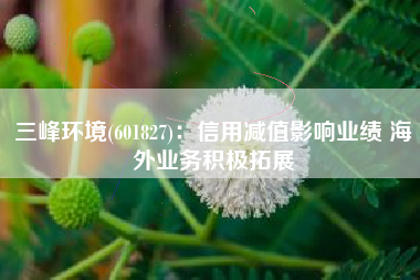 三峰环境(601827)：信用减值影响业绩 海外业务积极拓展