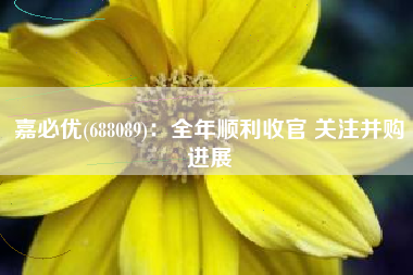 嘉必优(688089)：全年顺利收官 关注并购进展