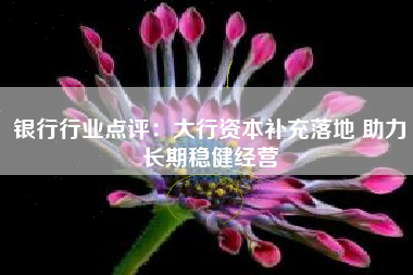 银行行业点评：大行资本补充落地 助力长期稳健经营