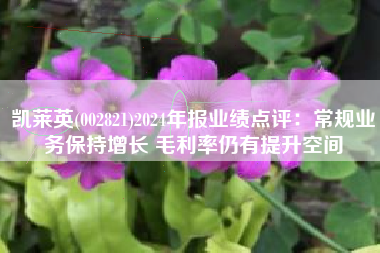 凯莱英(002821)2024年报业绩点评：常规业务保持增长 毛利率仍有提升空间