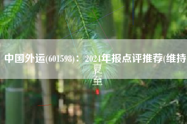 中国外运(601598)：2024年报点评推荐(维持)