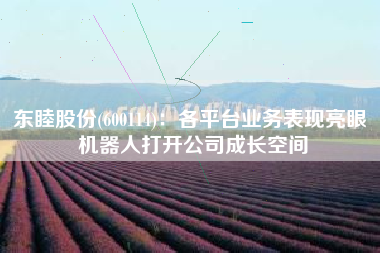 东睦股份(600114)：各平台业务表现亮眼 机器人打开公司成长空间