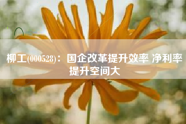 柳工(000528)：国企改革提升效率 净利率提升空间大