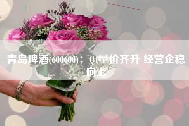 青岛啤酒(600600)：Q4量价齐升 经营企稳向上