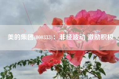 美的集团(000333)：非经波动 激励积极