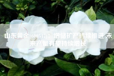 山东黄金(600547)：增储扩产持续推进 未来产量有望持续增长
