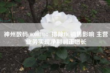 神州数码(000034)：排除IIC销售影响 主营业务实现净利润正增长
