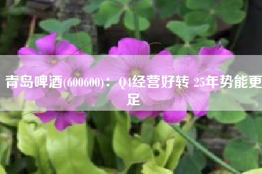 青岛啤酒(600600)：Q4经营好转 25年势能更足