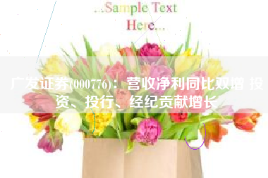 广发证券(000776)：营收净利同比双增 投资、投行、经纪贡献增长