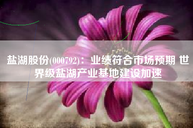 盐湖股份(000792)：业绩符合市场预期 世界级盐湖产业基地建设加速