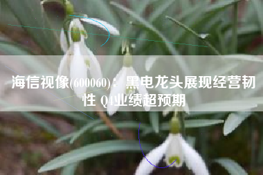海信视像(600060)：黑电龙头展现经营韧性 Q4业绩超预期