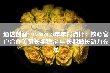 通达创智(001368)2024年年报点评：核心客户合作关系长期稳定 中长期增长动力充足