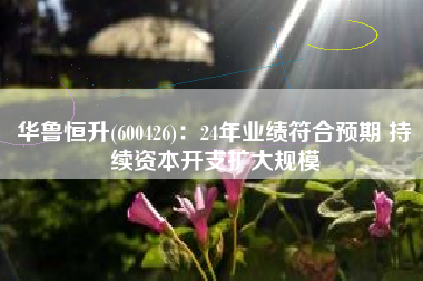 华鲁恒升(600426)：24年业绩符合预期 持续资本开支扩大规模