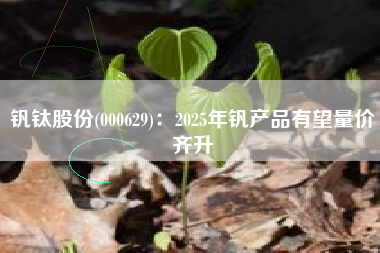 钒钛股份(000629)：2025年钒产品有望量价齐升
