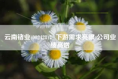 云南锗业(002428)：下游需求亮眼 公司业绩高增