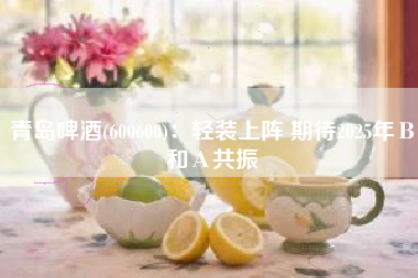 青岛啤酒(600600)：轻装上阵 期待2025年Β和Α共振