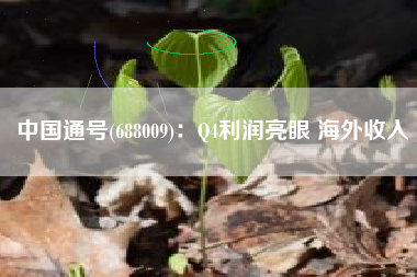 中国通号(688009)：Q4利润亮眼 海外收入